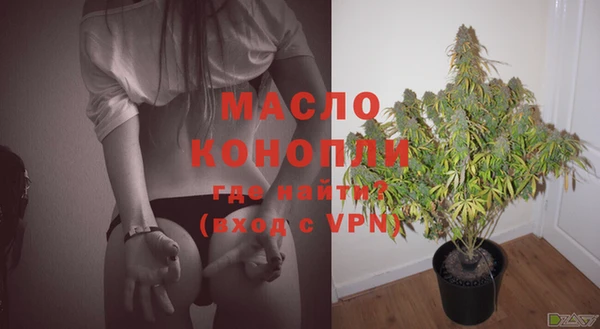крисы Инта