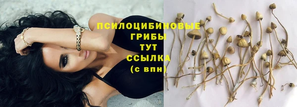 МДМА Инсар