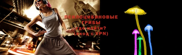 МДМА Инсар