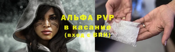 крисы Инта