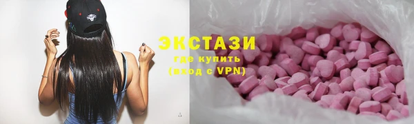 крисы Инта