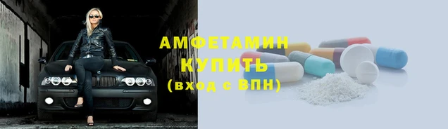 крисы Инта
