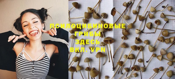 крисы Инта
