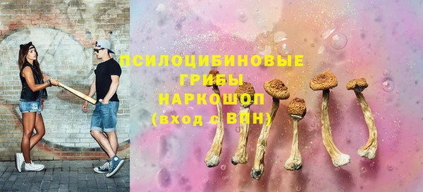 крисы Инта