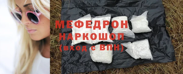 крисы Инта