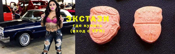 крисы Инта