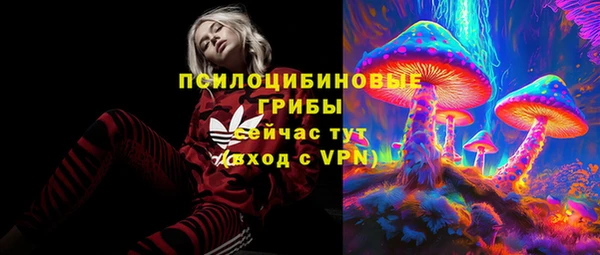 МДМА Инсар