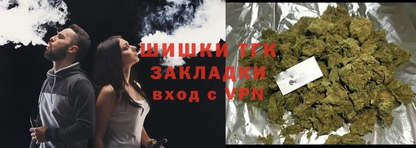 крисы Инта