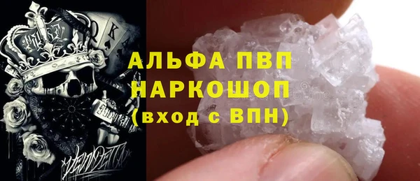крисы Инта