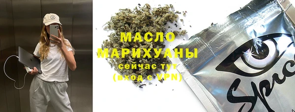 крисы Инта