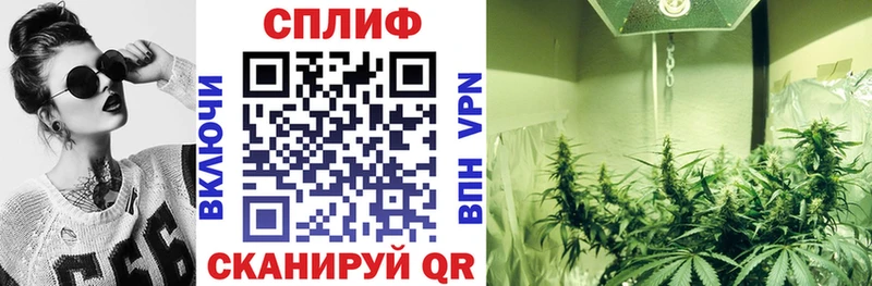 Бошки Шишки план  Купить где  Елабуга 